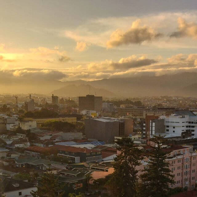 Фото Чат Чиуауа