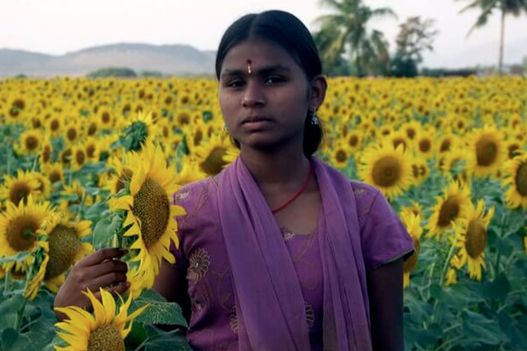 Ragazza indiana nel campo di girasoli
